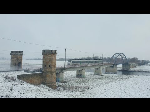 Talent 2 auf der Elbebrücke in Torgau | S-Bahn Mitteldeutschland