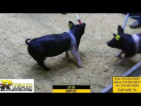 Rodibaugh Lot 96 March 19 Sale   14 March 2022   05 05 31 PM