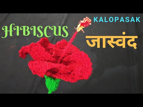 Hibiscus Flower, Shoeblackplant, China Rose, Crochet Flower Type 6- Jaswand / जास्वदींचे फुल