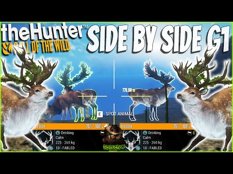 Hunting SIDE BY SIDE Great One Red Deer! The Hunter Call of the wild