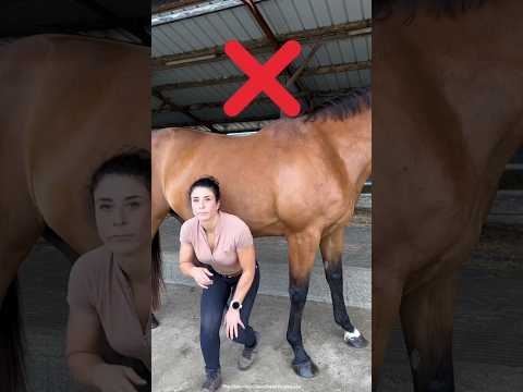 Never Stand Behind a Horse! (And Other Survival Rules) #facts #ytshorts #trending