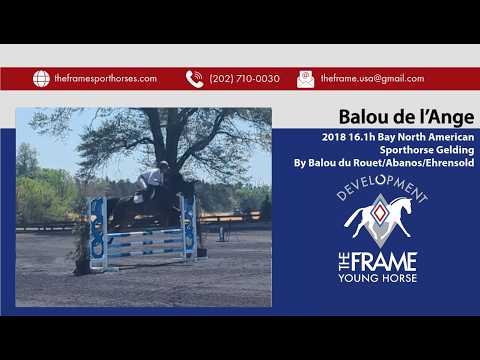 Balou video 3
