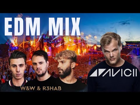 【EDM】W&W , R3HAB , David Guetta , Steve Aoki  , Timmy Trumpet , ZEDD , Avicii , Hardwell VOL5