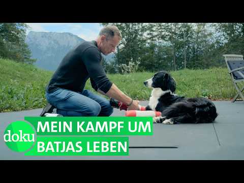 Video Thumbnail: Mein schwerkranker Hund – Heilung um jeden Preis? | WDR Doku