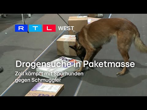 Drogensuche in Paketmasse: Zoll kämpft mir Spürhunden gegen Schmuggler | RTL WEST, 27.11.2023
