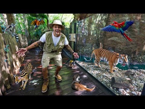 My BIGGEST ANIMAL PROJECT Begins Now…