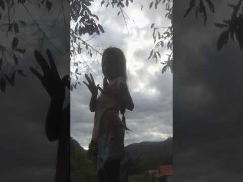 11 de diciembre de 2025