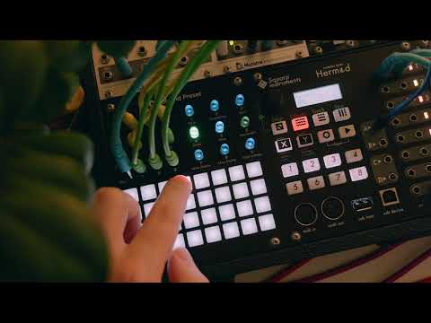 Polyend Preset Recaller & Sequencer 2019 - 2021 - Black image 6