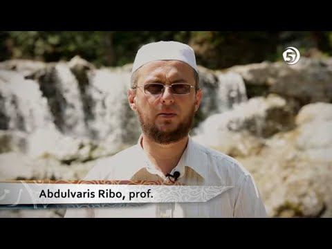 Nafaka - Savjet dana, prof. Abdulvaris Ribo