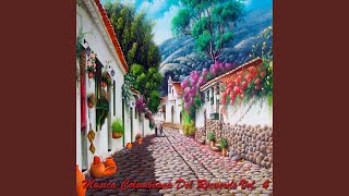 Pilanderas Momposinas