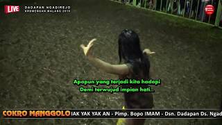 Download lagu Solah ERINA Ratu Celeng Luwes == Cinta Terlarang Voc IKA Lovers == COKRO MANGGOLO & Panjak YAK YAKAN mp3 Download lagu Solah ERINA Ratu Celeng Luwes == Cinta Terlarang Voc IKA Lovers == COKRO MANGGOLO & Panjak YAK YAKAN mp3