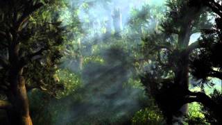 Husky Rescue - Silent Woods