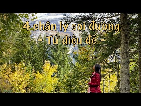 Bốn chân lý soi đường - Tứ diệu đế - giúp bạn đi đúng hướng trên hành trình tỉnh thức/ tu tập