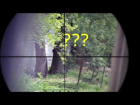 Ares M110 (SR25) upgraded