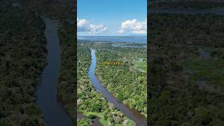 What secrets are hiding in the Amazon Rainforest?