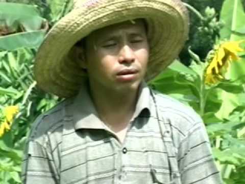 Thaum Tseem Muaj Koj - Luj Yaj