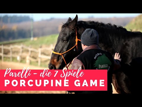Die 7 Spiele nach Parelli - Porcupine Game | ausführliche Anleitung Teil 2/7