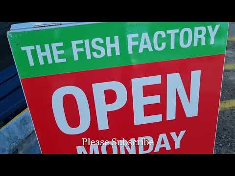 The Fish Factory