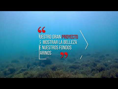 ECODIVE - Costa del Sol Tourism Hub