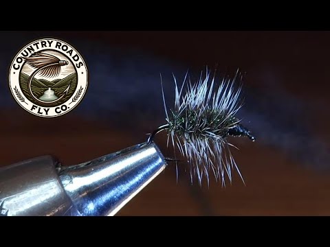 Griffith's Gnat