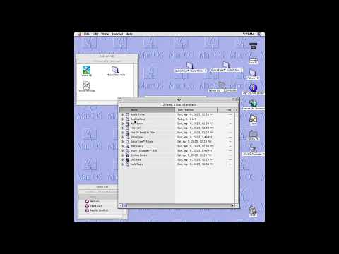 Falcon MC - How to get it working in Basilisk 2