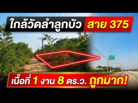ขายที่ดิน จ.นครปฐม ราคาถูก – รูปที่ 2