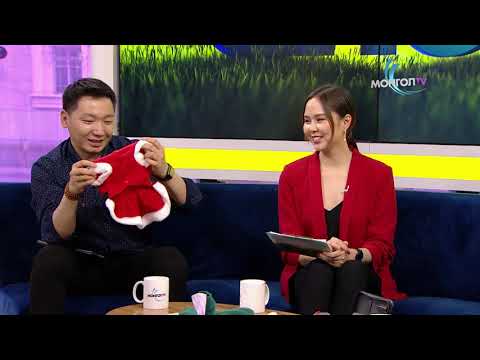 ӨНӨӨ ӨГЛӨӨ -  Нохойг хэрхэн яаж тэжээх талаар