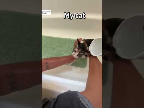 #dogs #doglover#dog#funny