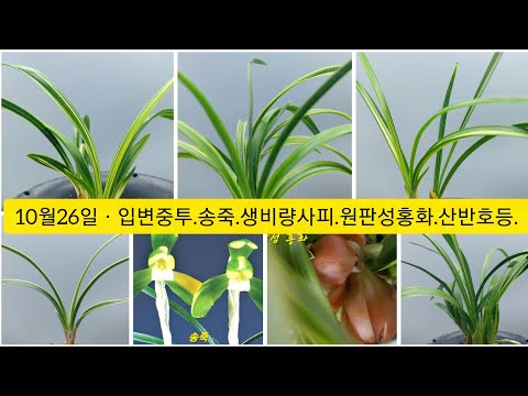 유튜브 썸네일
