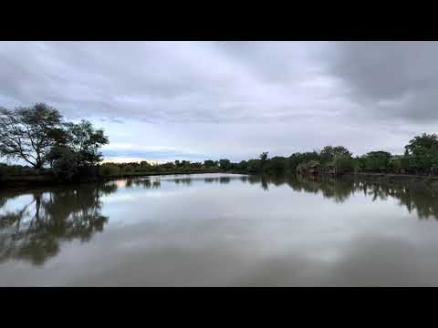 Gardabani fish house #georgia #qardabani