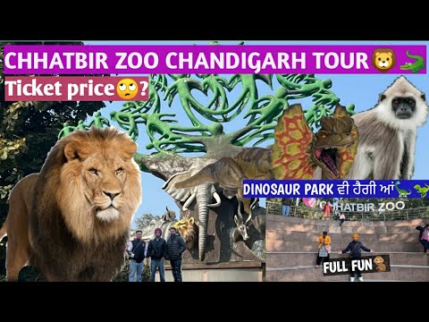￼Chhatbir Zoo Chandigarh gye c par othe ki hoya 🥺tuci aape dekh liyo ji😩🦁Dilpreet gagra (PART-1)