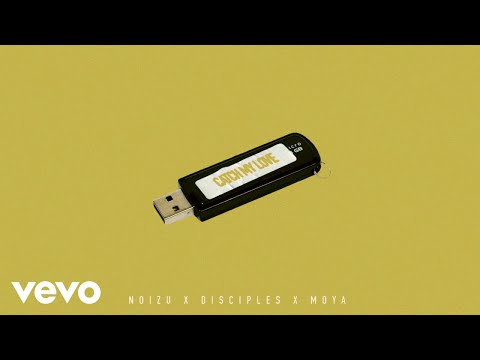 Noizu x Disciples x MOYA - Catch My Love (Acoustic)