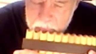 Learn how to Play Pan Flute - page 6 of 6 - FOR ALL WE KNOW - Bajan Pied Piper
