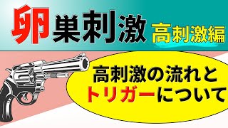 【卵巣刺激の実際】刺激しながら気を付けることとは？