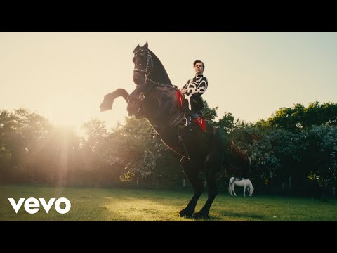 Harry Styles - Daylight