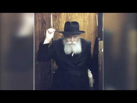 Mon Rabbi 36 - Que vive notre Maître! | Nigoun