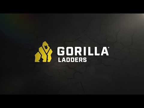Gorilla Ladders 5.5 ft  Dual Platform Ladder