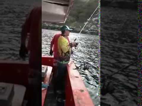 Mais uma vez pesca mar fazendo Juquitiba passar vergonha eu não aguento mais....