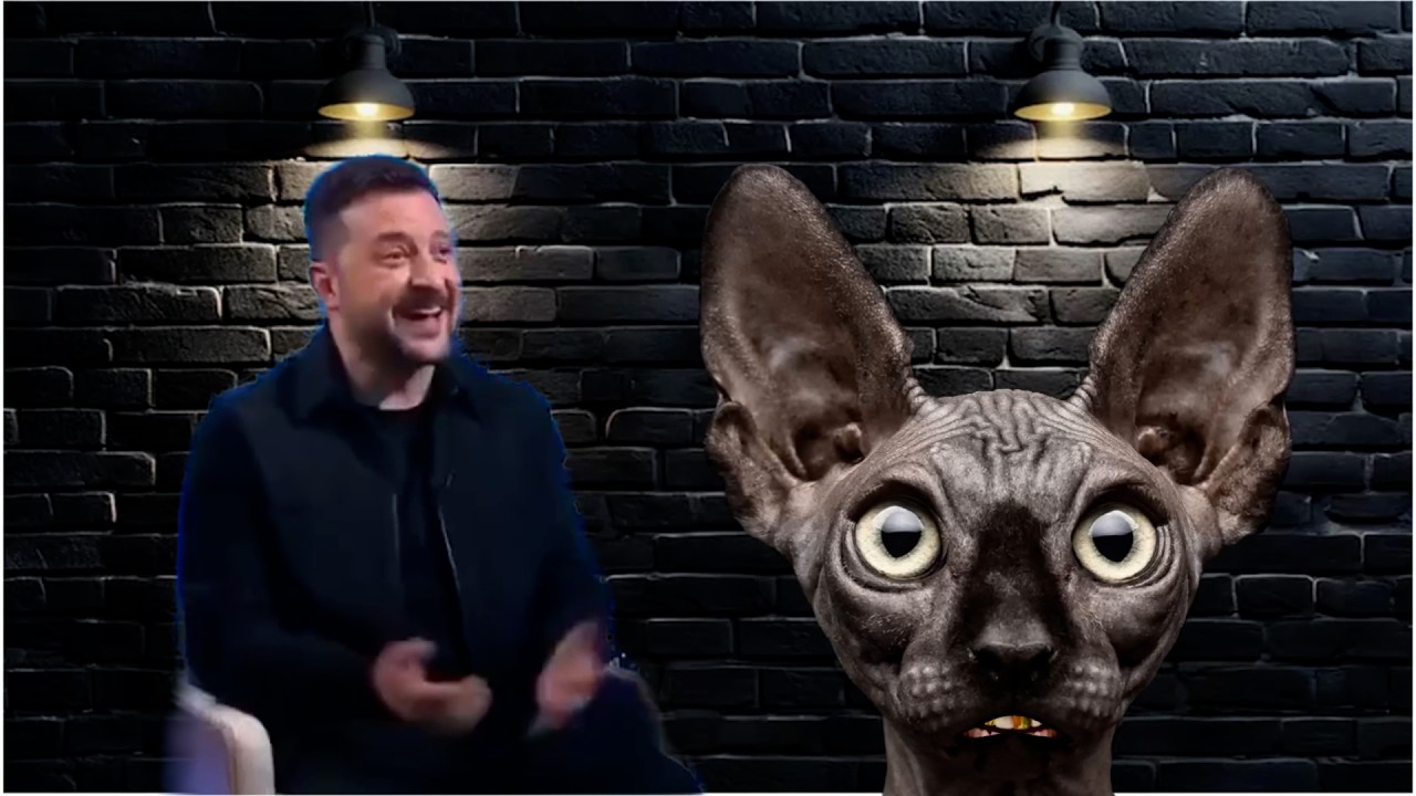 "КоТ доступа". Костян - 2026