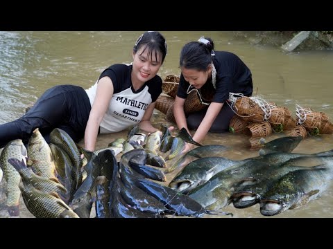 Encounter a huge school of fish, create a trap & catch the fish, then bring it to the market to sell