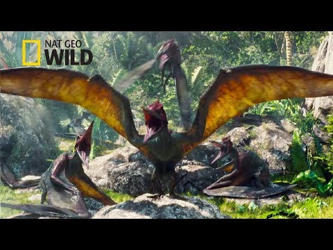 download lagu mp3 mp4 Pterodactylus, download lagu Pterodactylus gratis, unduh video klip Pterodactylus