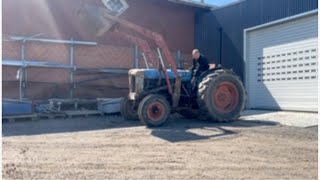 بيع جرار بعجلات Fordson Traktor Fordson major 4 cyl Diesel med frontlæsser - صورة 4 | Agronetto LY جرار بعجلات Fordson Traktor Fordson major 4 cyl Diesel med frontlæsser | صورة 4 - Agronetto