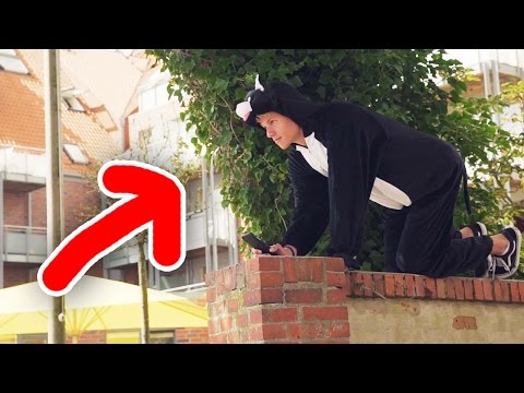 Ich verkleide mich als KATZE | NERVE-Challenge 2/9 | #WatcherOrPlayer Video