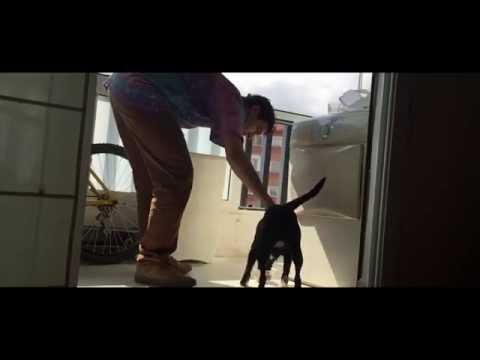 PHARA & J.O. - FUTURE KIDS