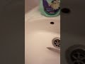 Egg Died