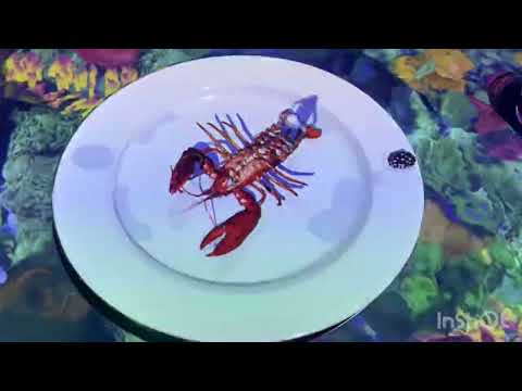 5億人が消えた:LidlがSAPとの協力を終了