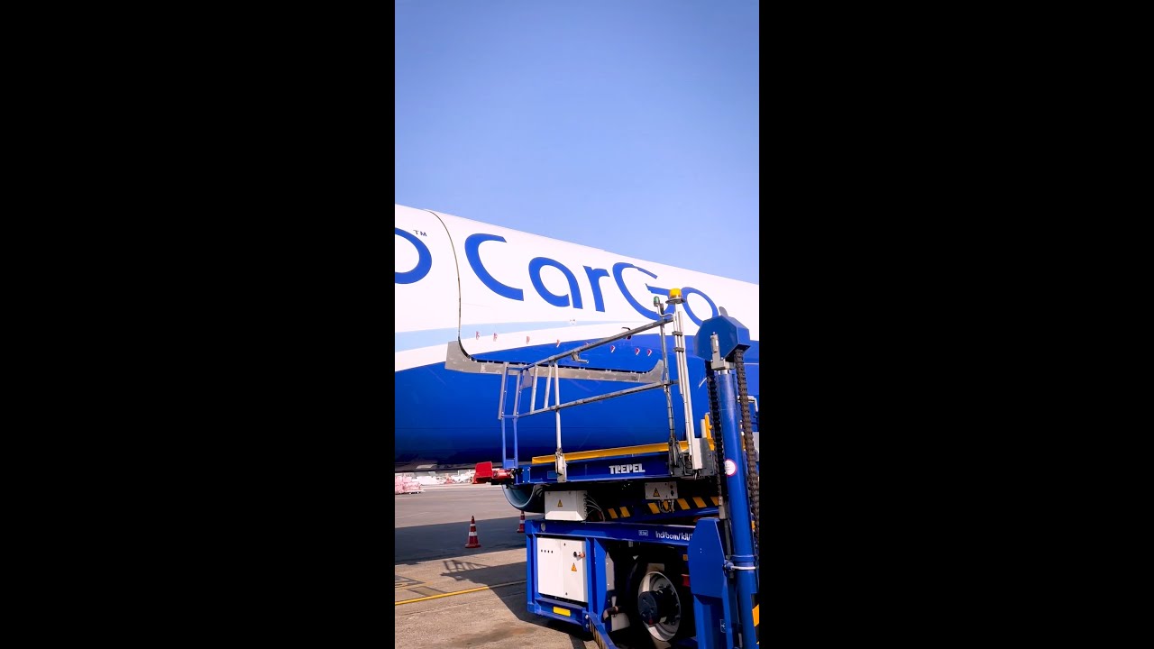 Cargo