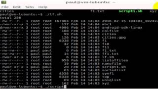 How to execute a file in Linux