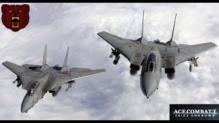 Skies of Ace Combat - F-14 Tomcat