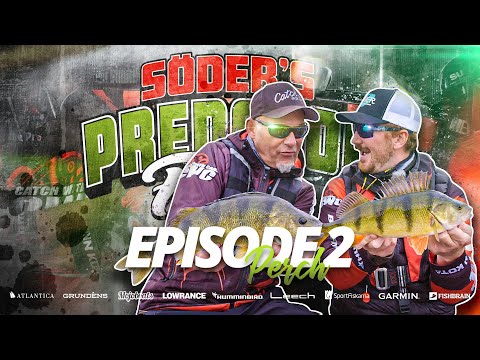 Predator Fight 2021 - Episode 2